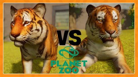Planet Zoo Animal Comparison Bengal Tiger Vs Siberian Tiger Youtube