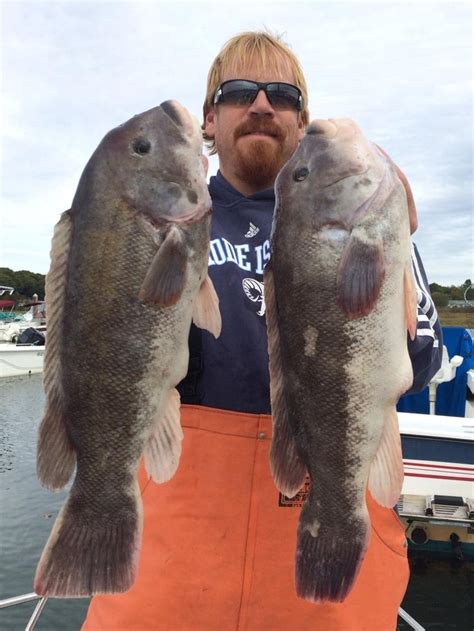 Greg Myerson On Twitter World Records Striper Blackfish