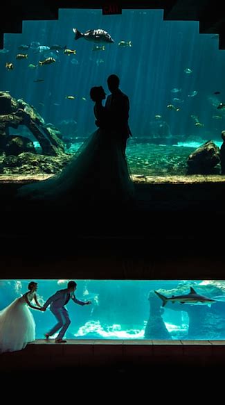 Have A Beautiful Underwater Wedding At Atlantis Hotels In