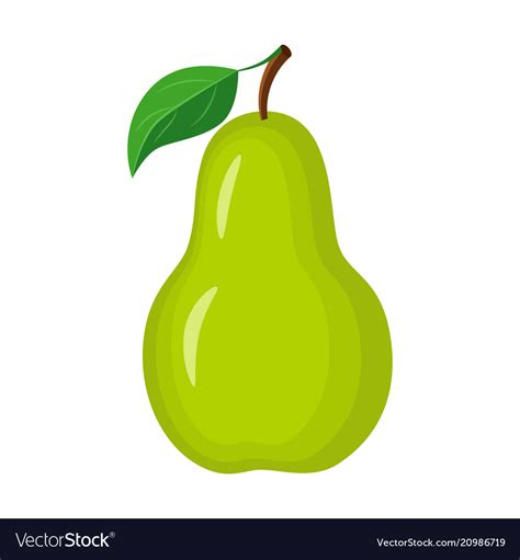 Colorful Whole Green Pear Royalty Free Vector Image