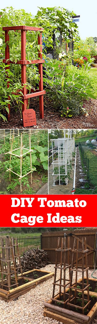 Diy Tomato Cage Ideas Page 6