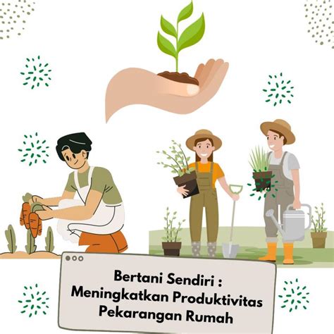 Bertani Sendiri Meningkatkan Produktivitas Pekarangan Rumah