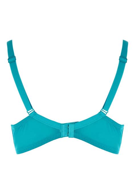 Womens Turquoise Dd Lace Bra Peacocks