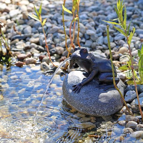 CLGarden Wasserspeier Komplettset Frosch Auf Einem Stein NSP10E Mit Strombetriebener Pumpe