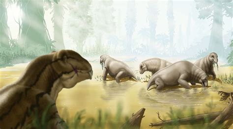 266 Million Years Ago The Permian Period Paleozoic Era Urzhum Tier