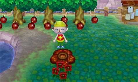 Some shops are only open at specific hours; Rafflesia - Animal Crossing Wiki - Wikia