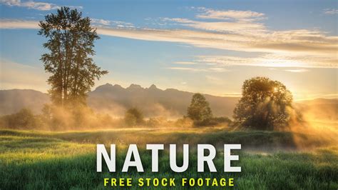 15 Spectacular Nature Stock Footage Royalty Free Stock Footage No