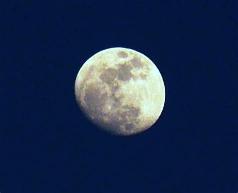 An Egg Shaped Moon Flickr Photo Sharing