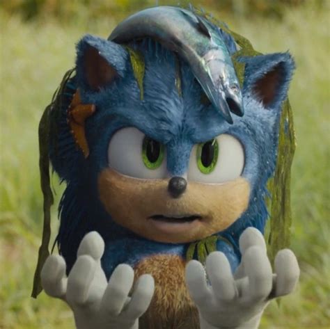 Sonic Profile Picture Hedgehog Movie Sonic Heroes Sonic The Movie