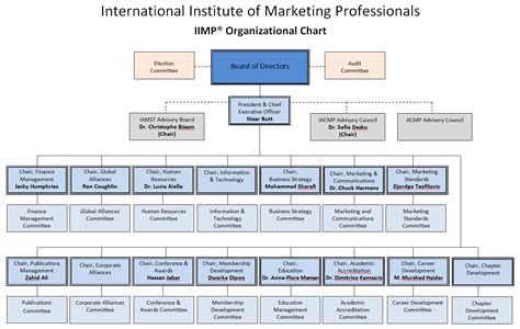 Organizational Chart Iimp® International Institute Of Marketing