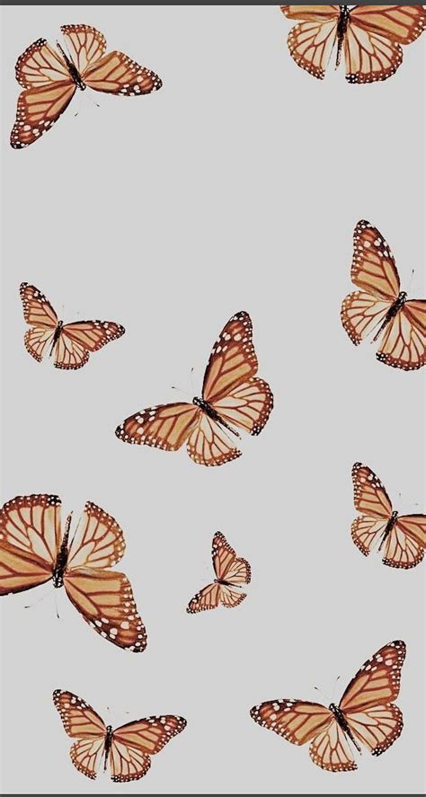 Mariposa Butterfly Sugar Hd Phone Wallpaper Peakpx