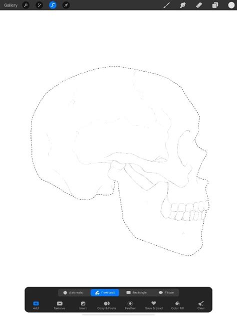 3 Easy Ways To Draw A Skull In Procreate Easy Skull Drawings Human