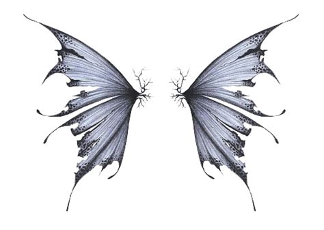 Realistic Fairy Wings Png Image Transparent Background Png Arts Images