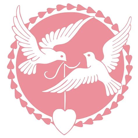 Dove Symbolism And Pigeon Meaning