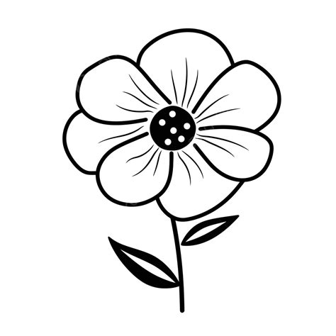 Flower Clipart Black And White Outline Sketch Drawing Vector Flower