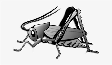 Cricket Clip Art Cricket Bug Transparent Png 869x434 Free