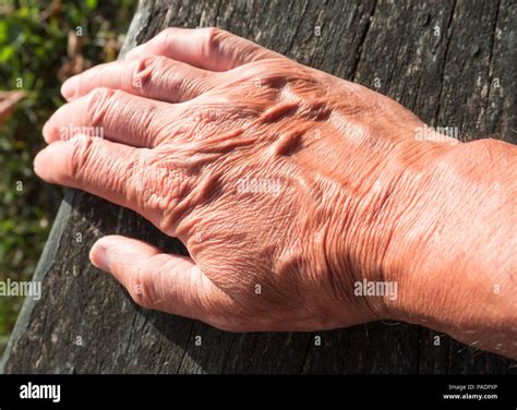 Old Mans Hand Hi Res Stock Photography And Images Alamy