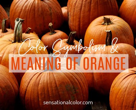 Get players' names, positions, nationality, and more. Meaning Of Orange: Color Psychology And Symbolism