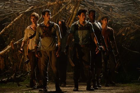 The Maze Runner Set 50 Things I Learned While In The Glades