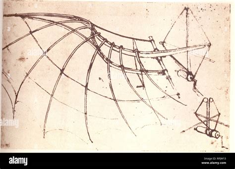 Leonardo Da Vinci Drawings Flying Machines