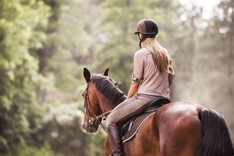 How To Sit Correctly While Horseback Riding