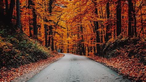 We offer an extraordinary number of hd images that will instantly freshen up your smartphone or computer. Download wallpaper 1920x1080 autumn, road, foliage, turn ...