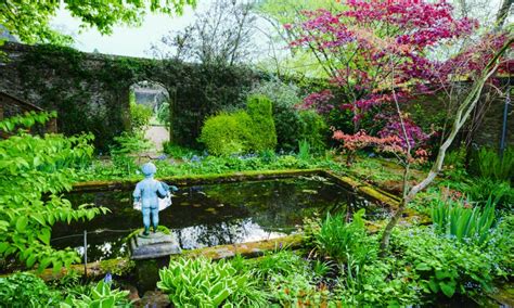 Check spelling or type a new query. Give your garden a touch of class with a lovely pond centerpiece says Monty Don | Daily Mail Online