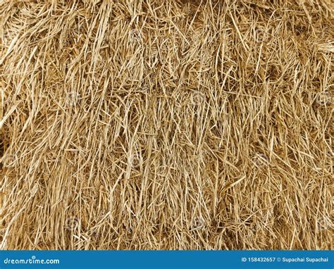 Hay Texture Hay Bales Are Stacked In Large Stacks Harvesting In