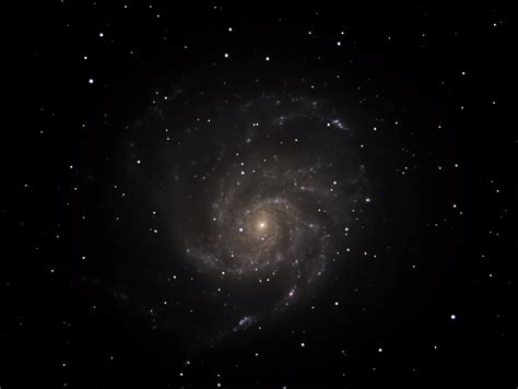 M101 Pinwheel Galaxy Daves Astronomy