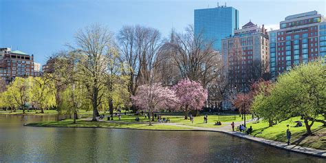 Boston Public Garden In Spring Photograph By Debbie Gracy