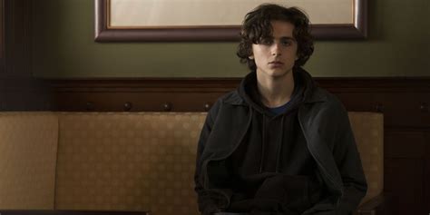 Beautiful Boy Shows 2019 Will Be The Year Of Timothée