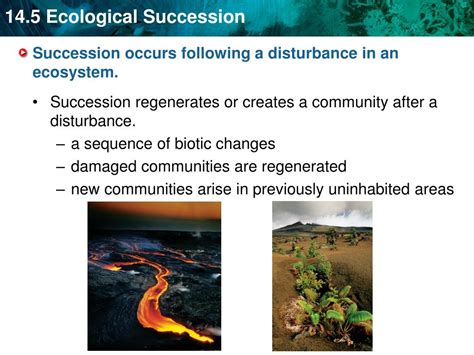 Ppt Key Concept Ecological Succession Is A Process Of Change In The