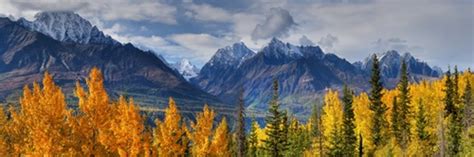 Panoramic View Of The Fall Foliage And Snowcapped Chugach Mountains