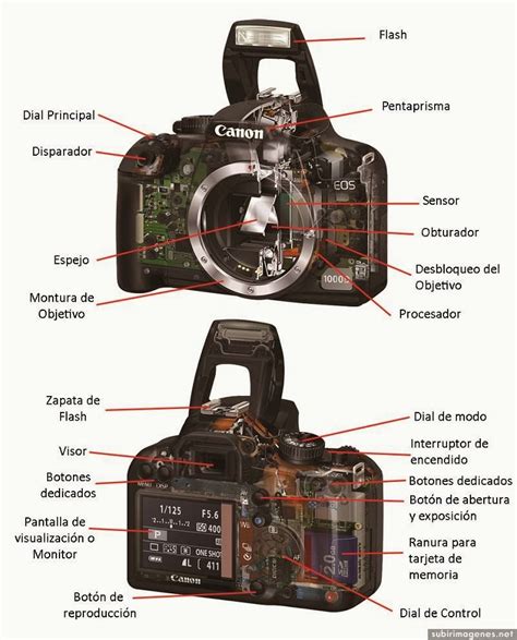 Perspectivaérea Cuerpo CÁmara RÉflex Digital