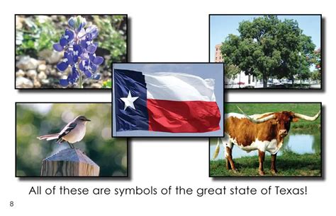 Texas State Symbols First Grade Book Wilbooks