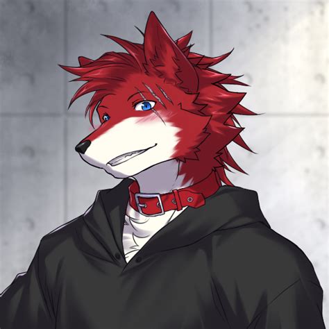 Credit Goes To Picrew Anime Wolf Chase