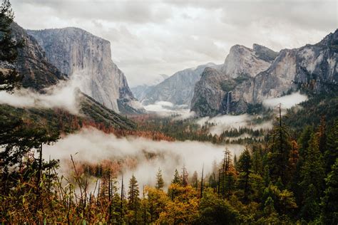 Wallpaper Nature Trees Yosemite Valley Yosemite National Park