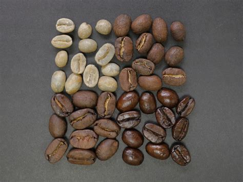 The Ultimate Coffee Roasting Guide For Coffees That Help You Unwind