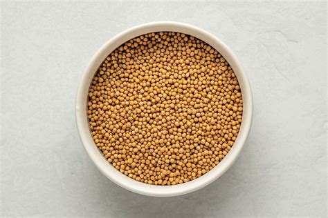 What Are Mustard Seeds