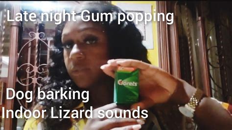 Asmr Bubble Gum Popping Bubble Gum Tricks No Talking Relaxing Gum