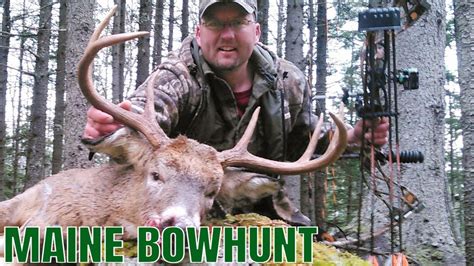 Bowhunting Maine Whitetail Bucks Maine Expanded Archery Season Maine