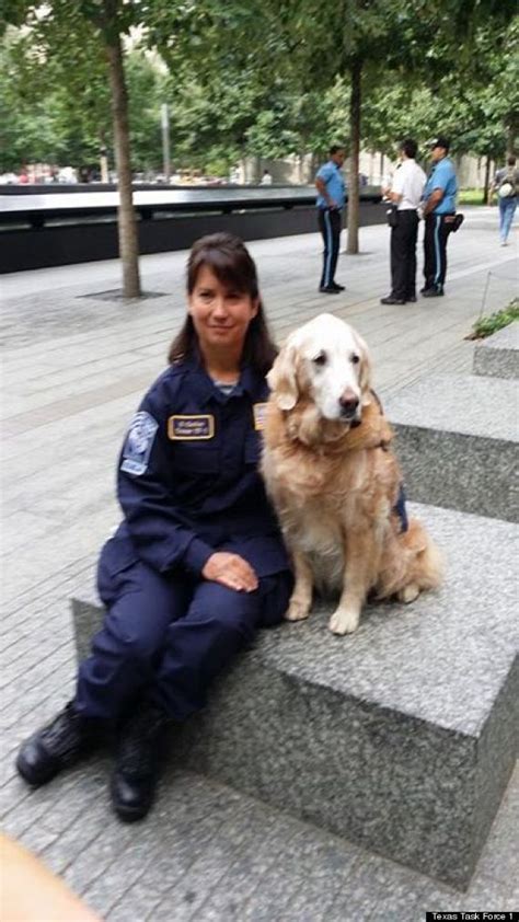 Heroic 911 Ground Zero Rescue Dog Returns To Site For 1st Time Since