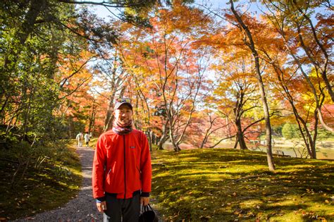 Jeffrey Friedls Blog An Autumn Visit To The Sento Imperial Palace In