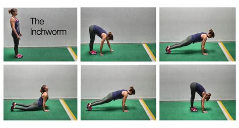 Crawling A Great Cardio Core Workout In One Exercise