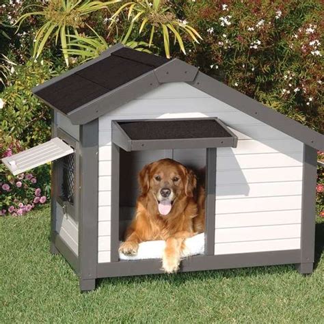 Cardigan welsh corgi laying in old dog house. Miniature Dog Cottages : Cottage Dog House