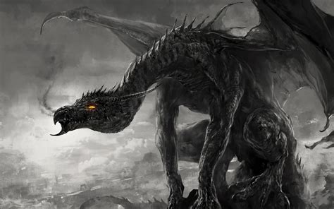 Black Dragon Wallpapers 65 Images