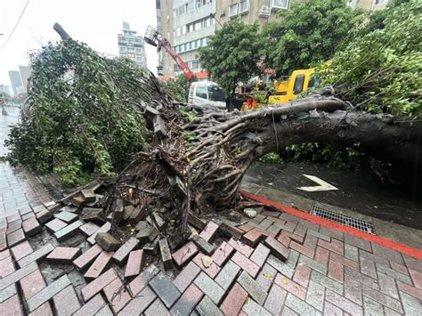 颱風卡努接近台灣 災情路樹倒塌居多 生活 中央社 Cna