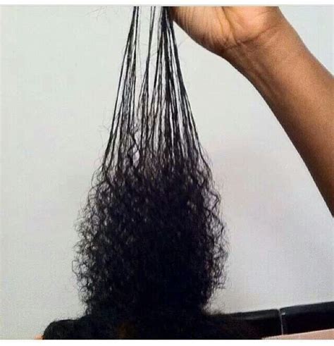 It is best to detangle your hair prior to shampooing. 67 best Transition to Natural Hair images on Pinterest ...