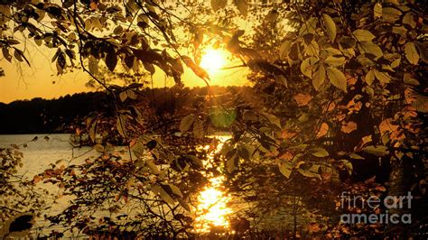 Lake Norman Sunset Photograph By Jonathan Welch Fine Art America