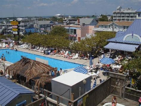 Plim Plaza Hotel Ocean City Md Hotel Reviews Tripadvisor